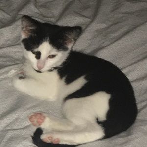 Meet your Posher, Sophie